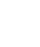 Blitz Digital Marketing Wellington